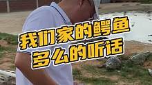 我们家的鳄鱼多么的听话#鳄珍 