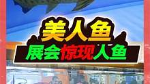 全国水族展会惊现美人鱼，稀奇古怪样样都有，龙鱼不知180卖不卖 #水族 #水族展会 #美人鱼