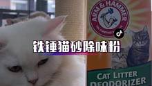 再好的猫砂也遮不住猫房那味，室内养猫有这个除味神器真的是太友好了