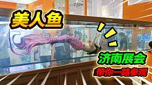 全国水族展会惊现美人鱼，稀奇古怪样样都有，龙鱼不知180卖不卖