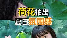 夏日荷花拍照技巧来了！快拉上闺蜜一起get氛围荷花照吧!#手机摄影 #拍照构图 #拍照技巧 #荷花 