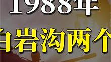 1988年，围捕白岩沟两个匪徒，为何要紧急出动1516名军警？ #白岩沟剿匪 