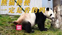 熊猫便便一定是香的吗？