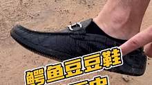 鳄鱼豆豆鞋的历史#鳄珍