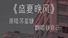 盛夏的晚风#離影 