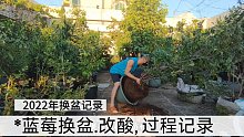 3元一个买回来的种植神器，种菜养花不烂根，比任何花盆都透气