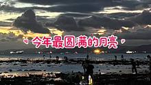 #今年最圆满的月亮 明晚一起去海滩躺着看月亮吧