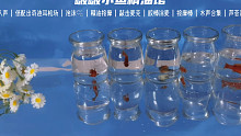 【声控助眠】｜啵啵小鱼精油馆｜夏天啦 小鱼们开始工作啦～ 疲惫一天来年糕这里放松一下叭(｡•̀ᴗ-)