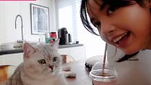 Blackpink：Lisa会说猫语