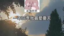 喜欢夏天，还有你这个小笨蛋#声控