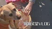 带着狗狗去买菜，一路都是菜摊阿姨们的喜欢