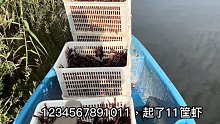 农村小子养小龙虾，一次起10几筐虾卖几千元，却说烦死了