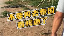 不要再去泰国看鳄鱼了#鳄珍 