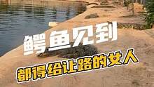 连鳄鱼都害怕女人！#鳄鱼 