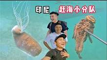 《印度尼西亚》第16天：赶海偶遇会吐丝的海参，还收获好多石头鱼 ！#赶海 #印尼赶海 #新农人计划#