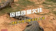 因播放量欠佳，摄像小哥亲自上阵喂鳄鱼#鳄珍 