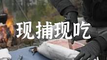 Jaret Foster现捕现吃三文鱼#露营报告 #野营 #一起露营吧 #享受这悠闲时光 #户外美食