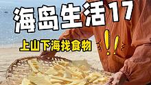 海岛生活17，上山挖竹笋下海捞鱼，又度过了愉快的一天