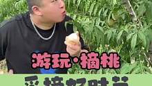 去采摘吧！朋友们！#苏木生  #助农 #我为家乡农产品代言 #食客玩家济南站 #新农人计划