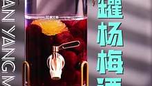 我想把口感好喝的#水果泡酒陆续送去检测，这次泡一个大桶的#杨梅酒  ，等待检测结果吧~#跟着抖音学做
