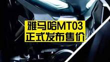 雅马哈mt03正式发布售价 #雅马哈mt03 #yamahamt03 #mt03 #雅马哈 #yam
