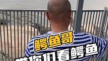 鳄鱼哥带你们看看鳄鱼#鳄珍