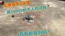朋友在山里丢失了2头猪，花18000卖了一台无人机寻找，看能找到吗