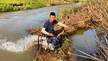 暴雨导致河边出现深水坑，用抽水机把水抽干，看看能抓到什么鱼
