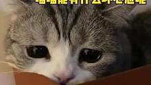 #萌宠 #猫咪 这也太委屈了吧，我心软软#宠物 