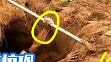 精神小伙山上干活发现神秘洞穴？没想到被巨蟒拖进去了！ #蟒蛇 #蟒蛇蟒蛇 #户外 #上热门 