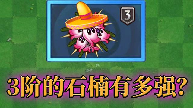 pvz2:3阶石楠探索者,伤害有多恐怖?