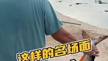 这样的名场面你见过？#鳄珍