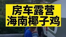 户外露营安排一份椰子鸡吃，太美味啦！#房车生活 #露营美食 #大口吃肉的感觉真好 #真材实料才能做出