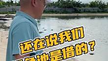 还在说我们鳄鱼池是借的？#鳄珍
