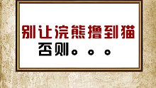 咱大胆点嘛！干嘛这么小心翼翼的！看来小浣熊也逃不过猫咪的可爱！