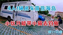 4人1辆房车露营海岛，小伙只能带着小猫去钓鱼
