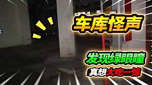 地底10米的车库惊现怪异叫声，发现时竟然露出绿瞳，真想如此好笑