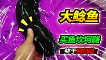 38块钱买了一条75公分大鲶鱼，招财猫媳妇终于来了，这长相想李逵