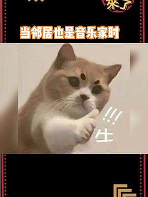 總覺得有樓下連滾帶爬沖向樂器的感覺