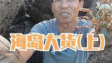 老渔民登上海岛找货，发现深坑底下躲着鲨鱼，没想到还发现了龙须（上）