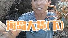 老渔民登上海岛找货，发现深坑底下躲着鲨鱼，没想到还发现了龙须（下）