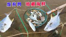 阿聪赶海运气爆棚，捡了几十只海鲜，还偶遇同学爸爸分一些给他