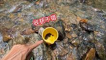 5元买了一袋大家都嫌脏的东西，沿着小溪旁一放，小伙坐等收获