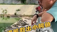 谁可以救出小鳄鱼，就可以拿走#鳄珍