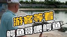 游客等着鳄鱼哥喂鳄鱼#鳄珍