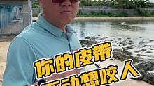 你的皮带动不动想咬人#鳄珍