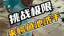 挑战极限来鳄鱼池吸手#鳄珍 