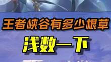 那么会不会有玩家去数算泉水到底有多少吨#王者荣耀 #游戏杂谈 #游戏 