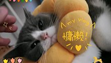 慵懒！