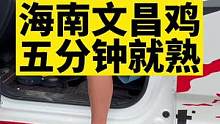 只要吃过我的文昌鸡，就都是好评#真材实料才能做出好味道 #口感特别好 #快来一起尝个鲜 #海南文昌鸡